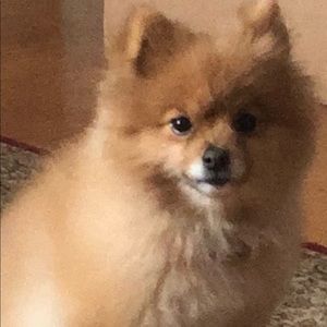 Meet your Posher, Kelli